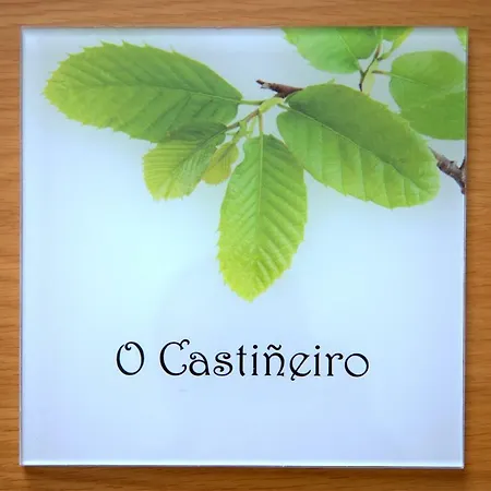 A Carballeira Do Tambre Troitosende Exterior photo